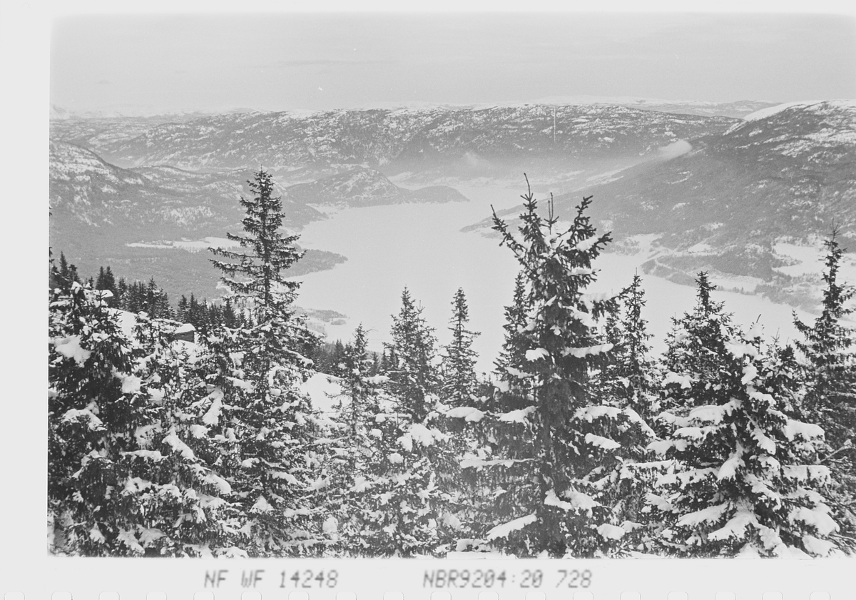 Utsikt fra Norefjell, Krødsherad. Fotografert 1941.