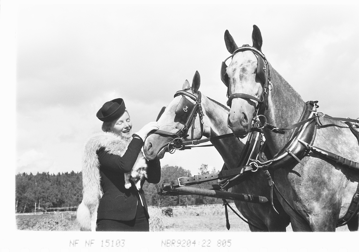 Kvinne med boa og to hester på Øvrevoll Galoppbane, Bærum. Fotografert 1941.