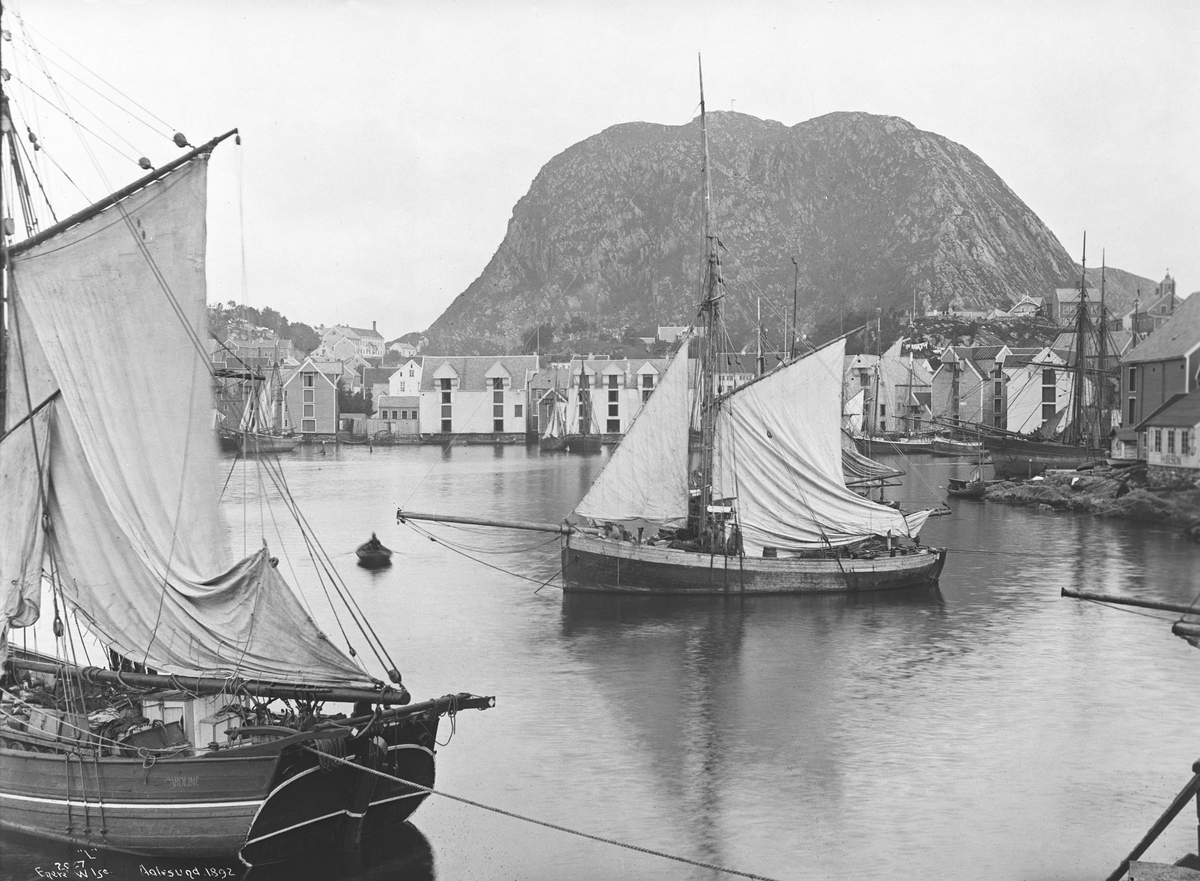 Prot: Aalesund