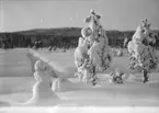 Vintermotiv, snöhöljda träd.
Kilsbergen från Skomakartorp.