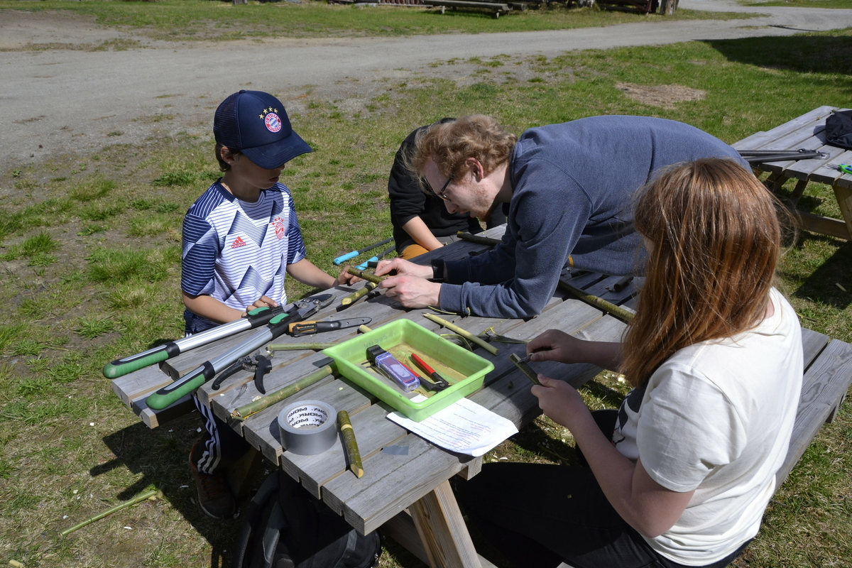 Aktivitetsdag  i Museumsparken for 6.trinn ved Tynset Barneskole 4.juni 2020.