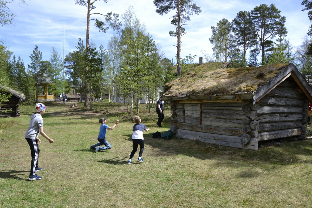 Aktivitetsdag  i Museumsparken for 6.trinn ved Tynset Barneskole 4.juni 2020.