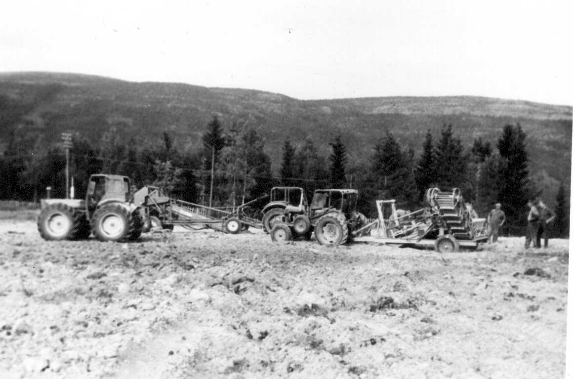 Nydyrking på Balstad. H76. 