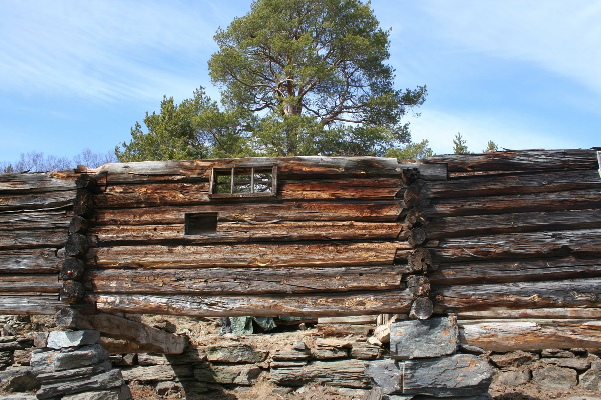 Sommerfjøs, Borkhus