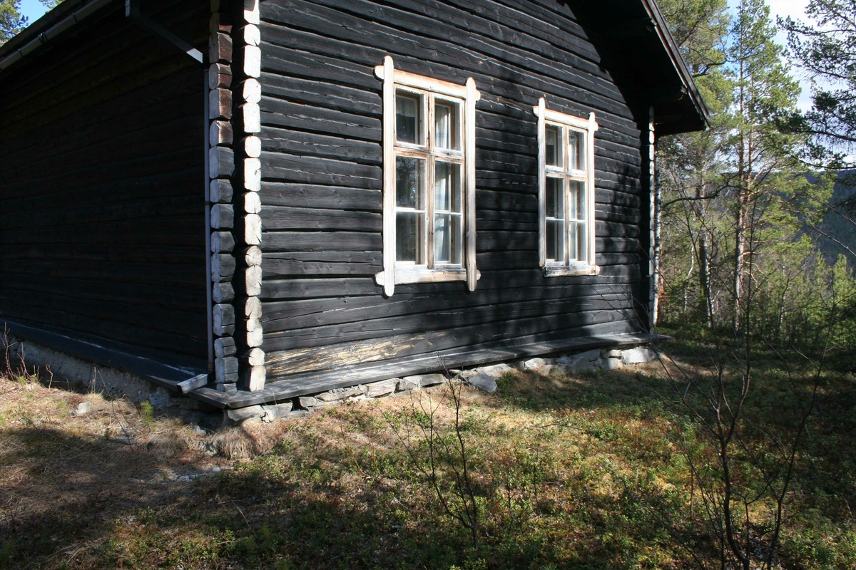 Ryeng skole