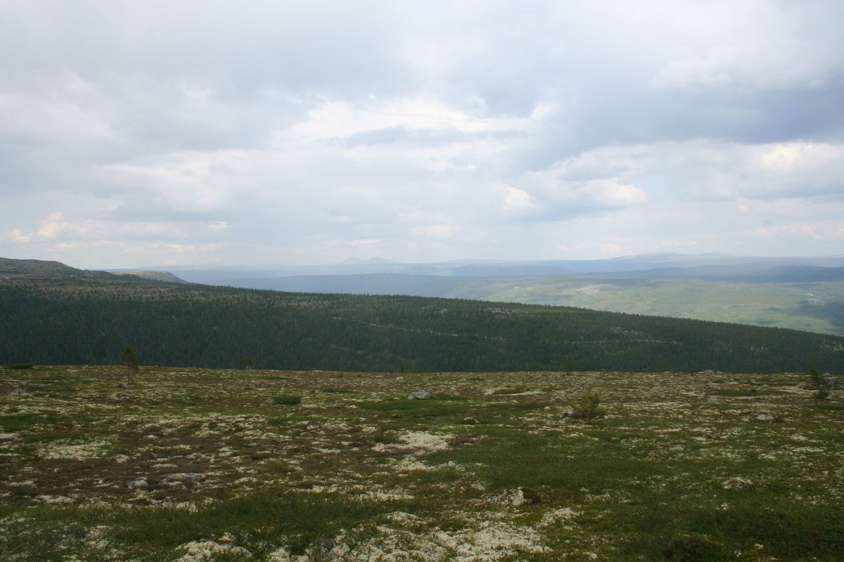 Utsikt, landskap
