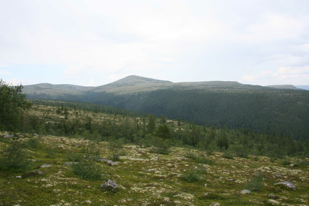 Utsikt, landskap