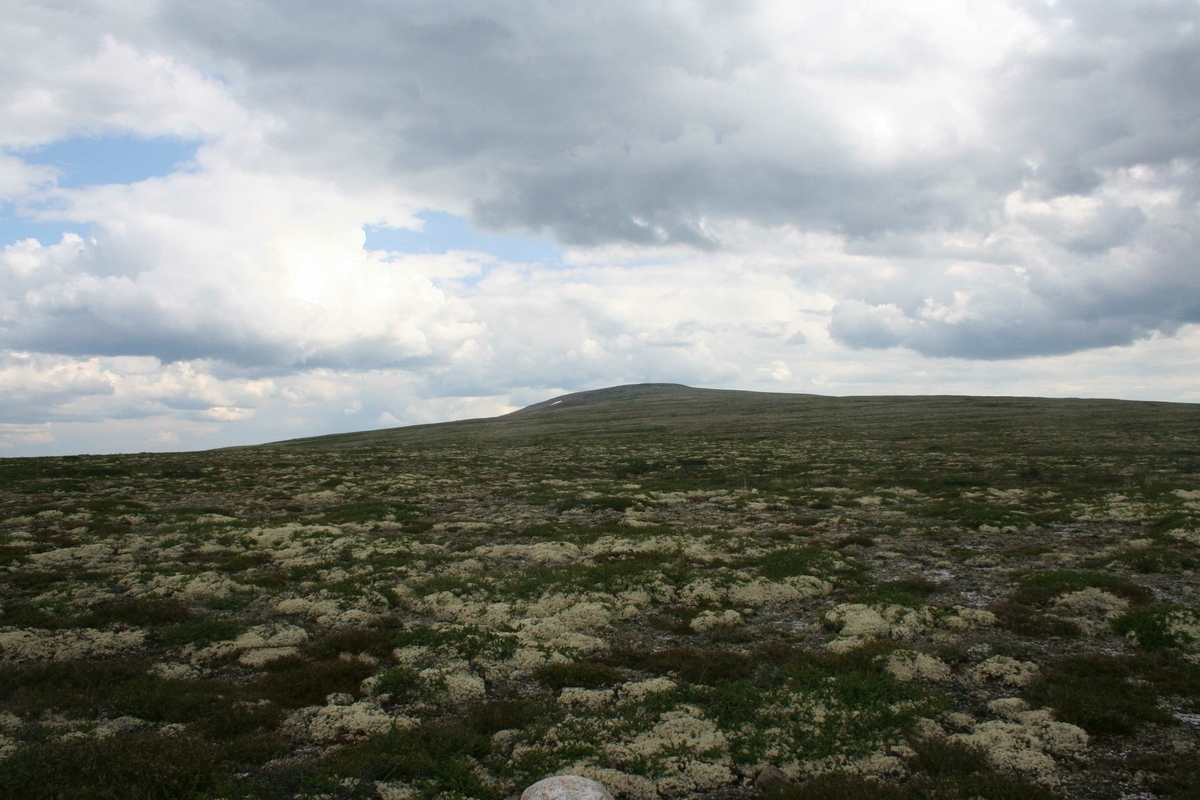 Utsikt, landskap