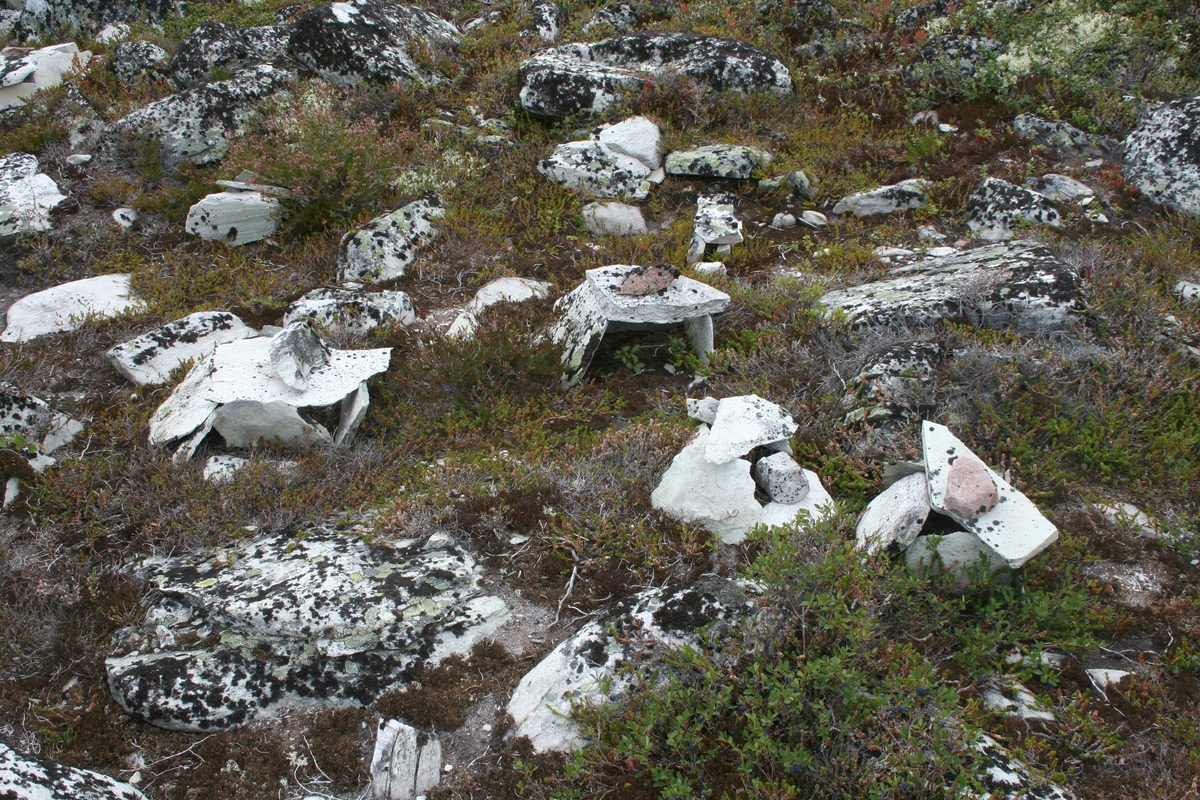 Cirkumferensbefaring, lekebyen, "Røroskopi"