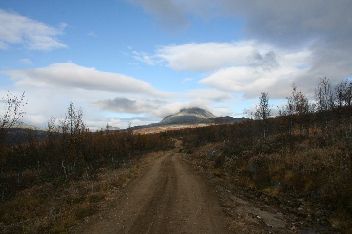 Natur, utsikt mot fjell