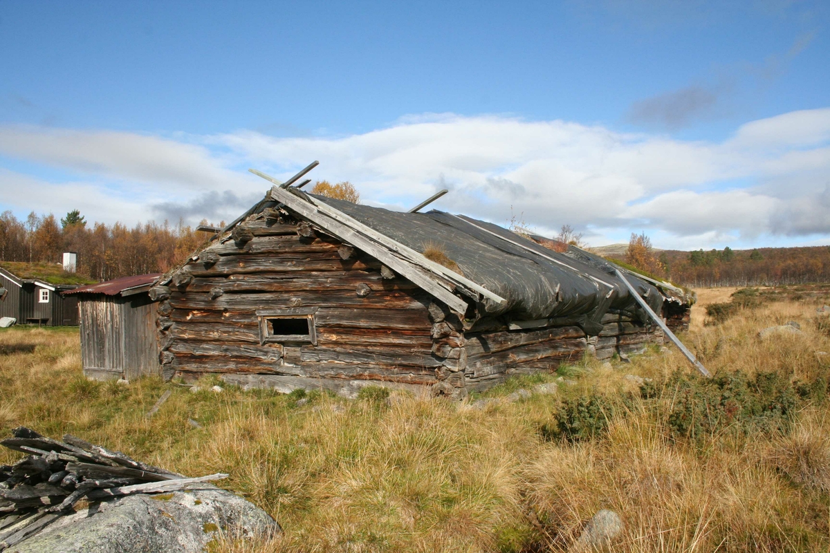 Fjøs, Nyeggvangen