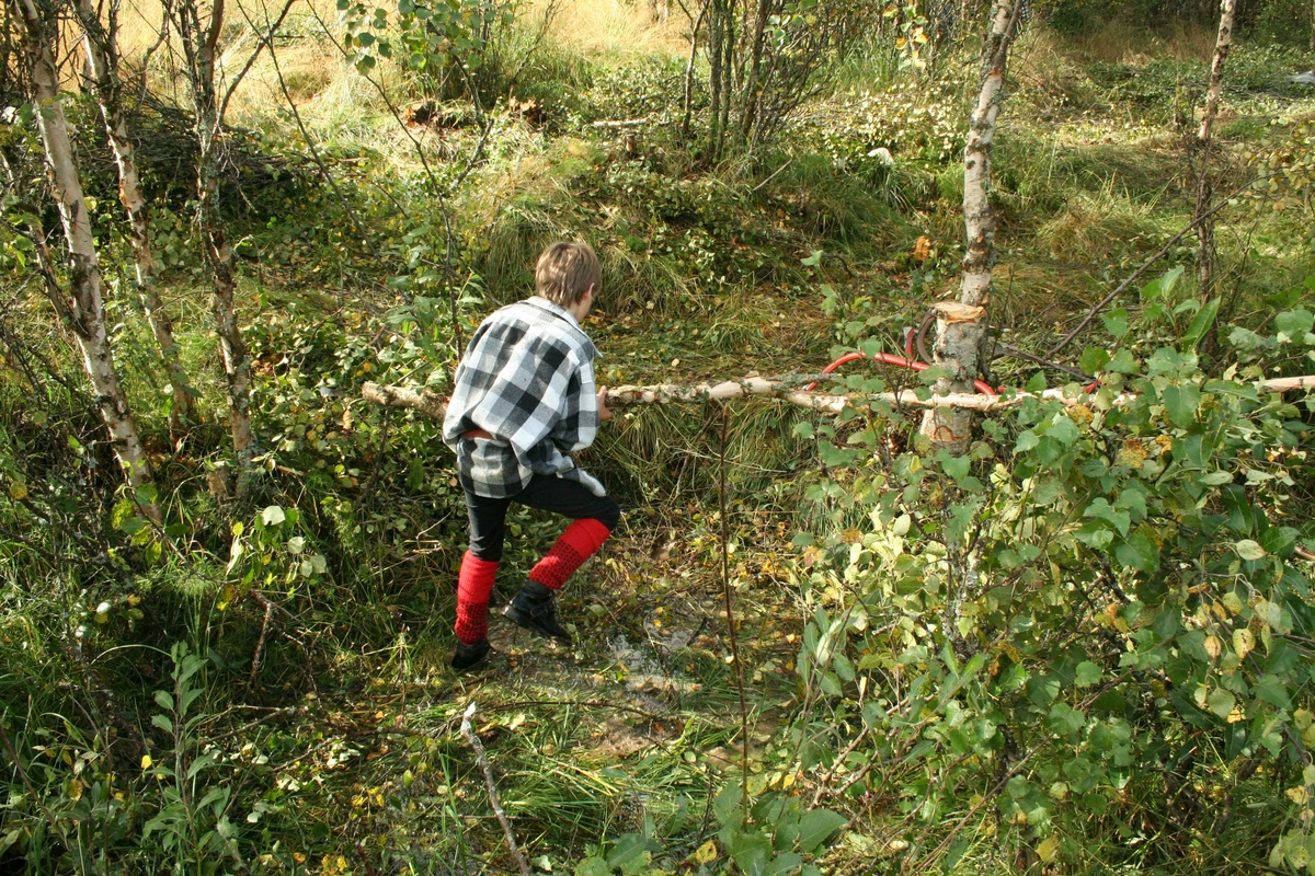 Gutta i vedaskauen