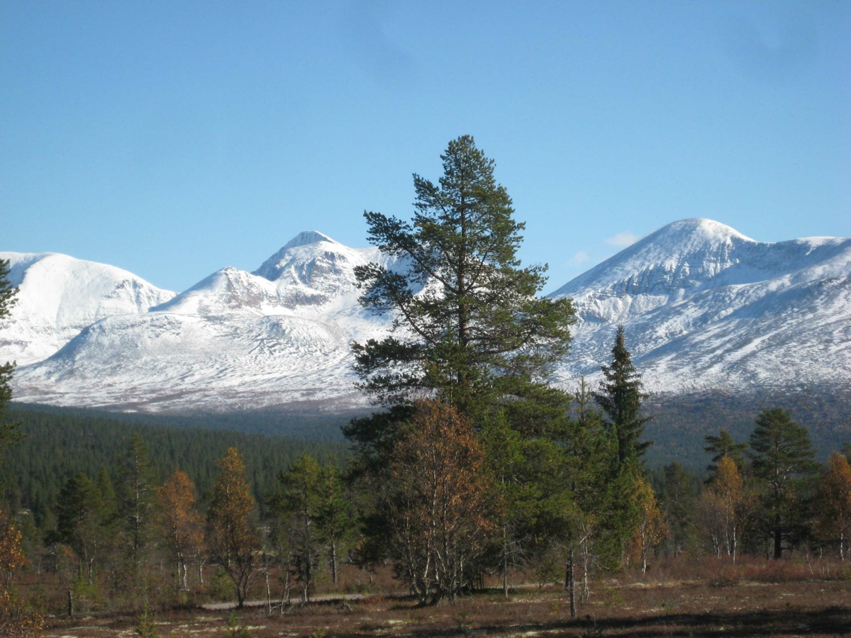 fjell m snø, Rendalen