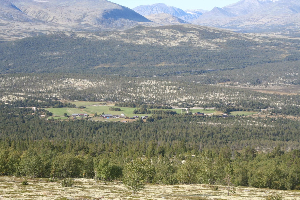 utflukt, Mjovassdalen, utsikt mot Øyen