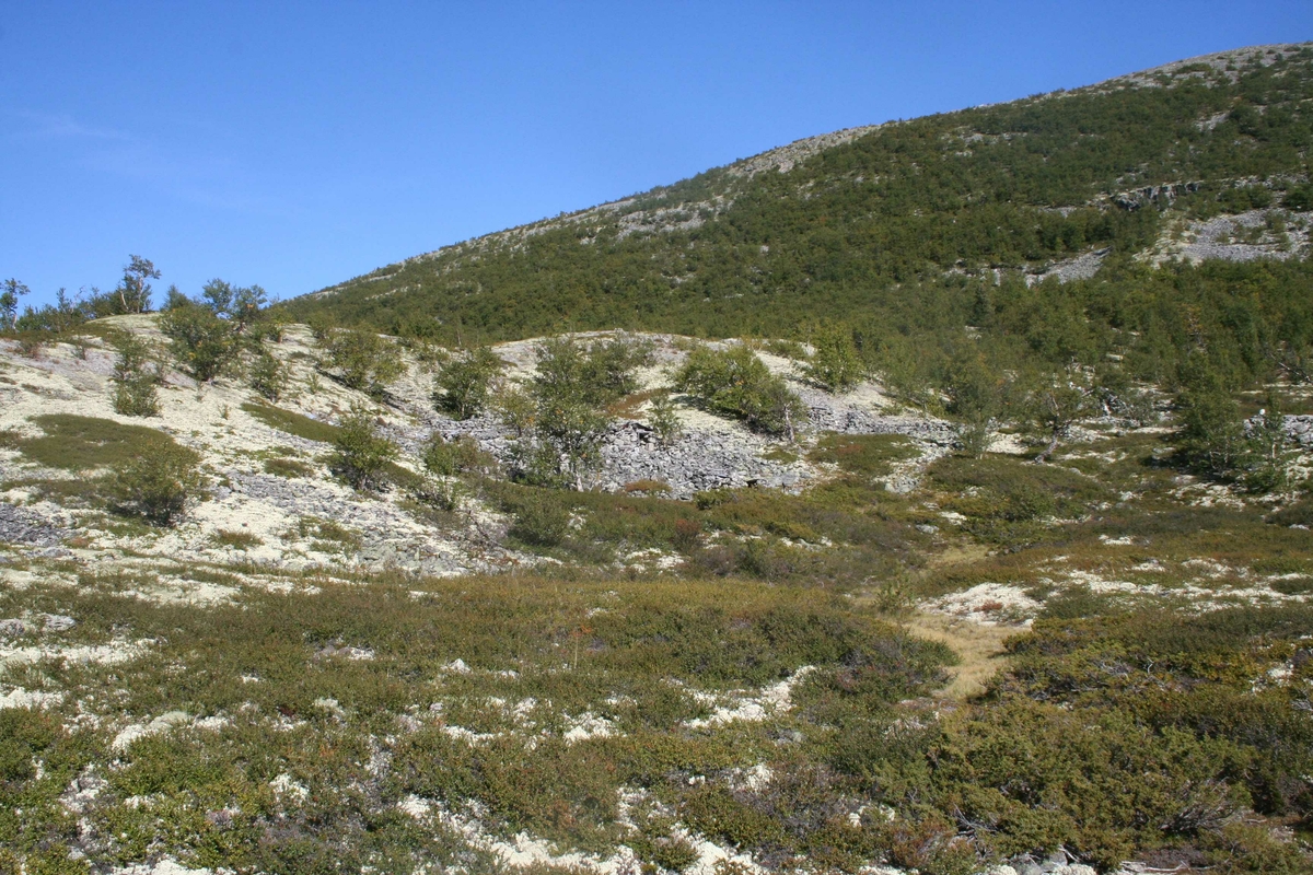 lekehytter i steinura, Mjovassdalen, 