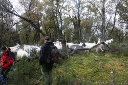 Blåmann, blåmann... Ferdaminne 2011, Vinjevandring, Øverdals