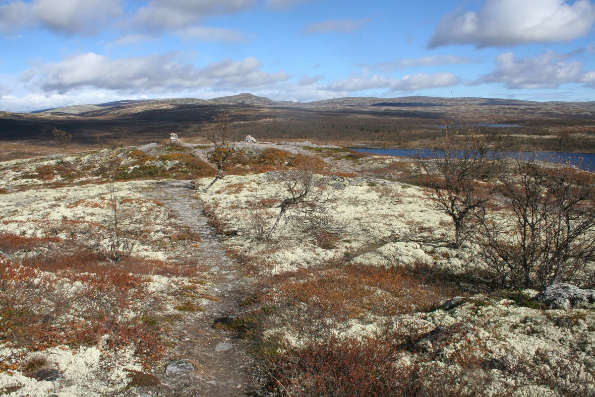 Gråsjøen, Stor-Elvdal