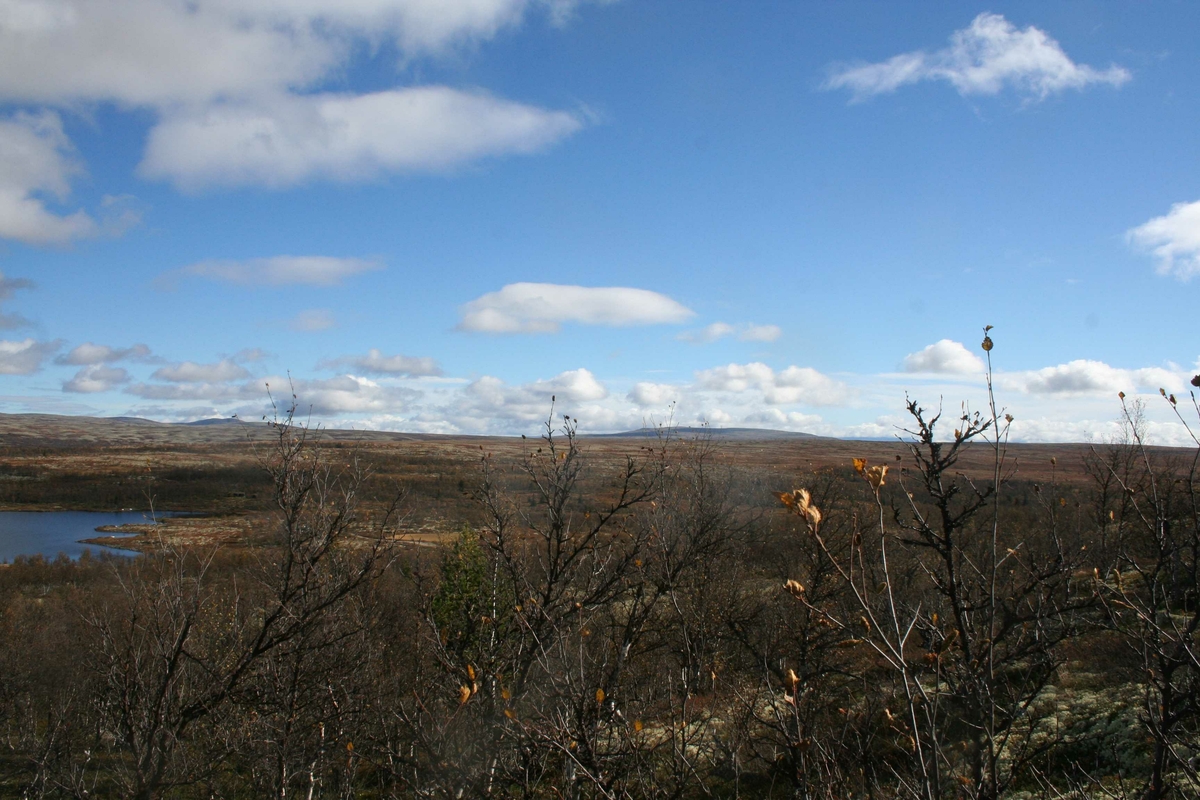 Gråsjøen, Stor-Elvdal