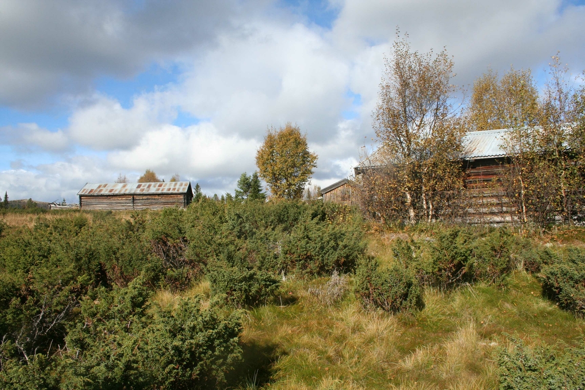 Hanestadnysetra Atndalen, Stor-Elvdal