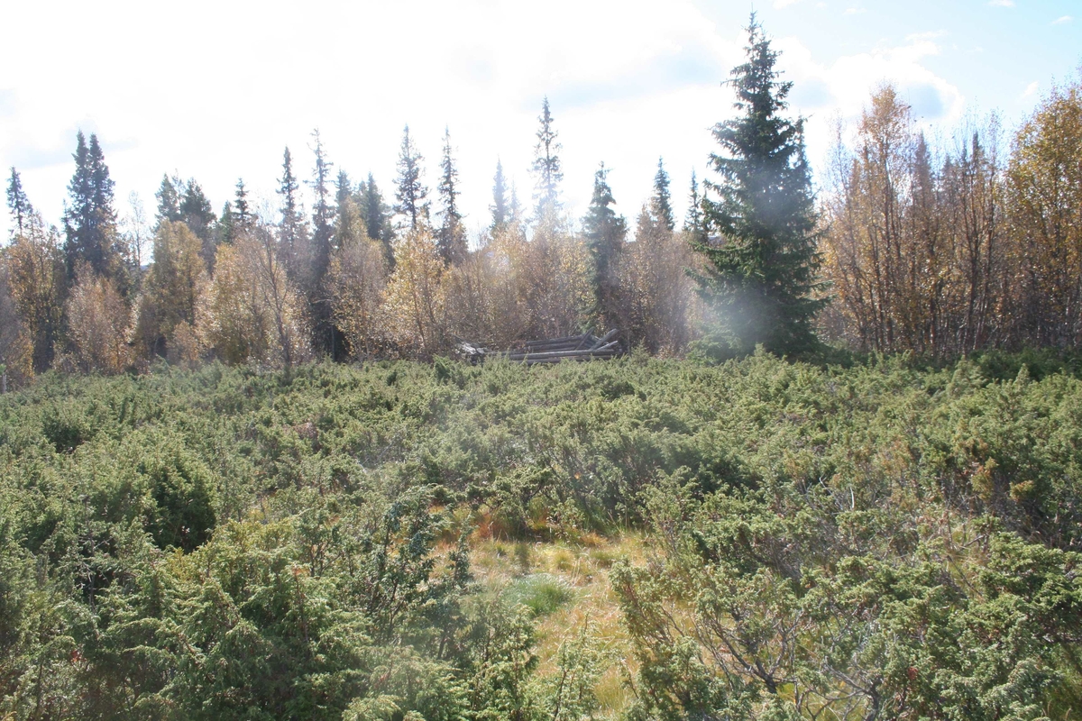 Hanestadnysetra Atndalen, Stor-Elvdal