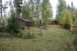 Hanestadnedalen, Gangtrebua