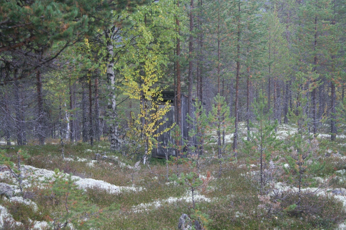 før Storbekkbua? skogsarbeider do