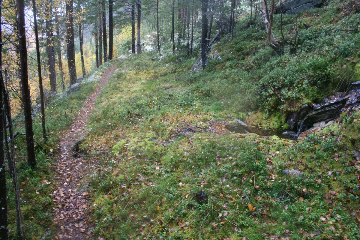 Gamle Atndalsvegen Atnbrua-Folldal,  Ferdaminne 1861