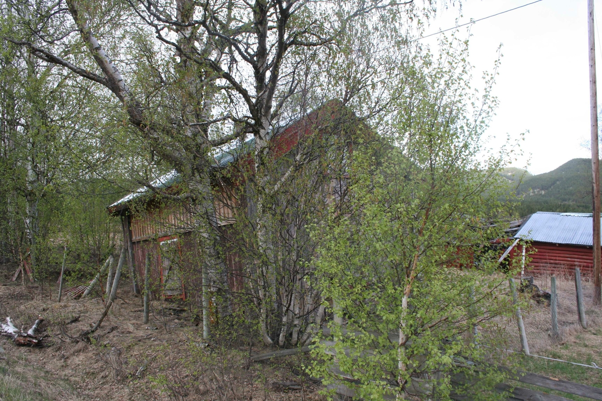 Bolighus, tater / omreisende Auma