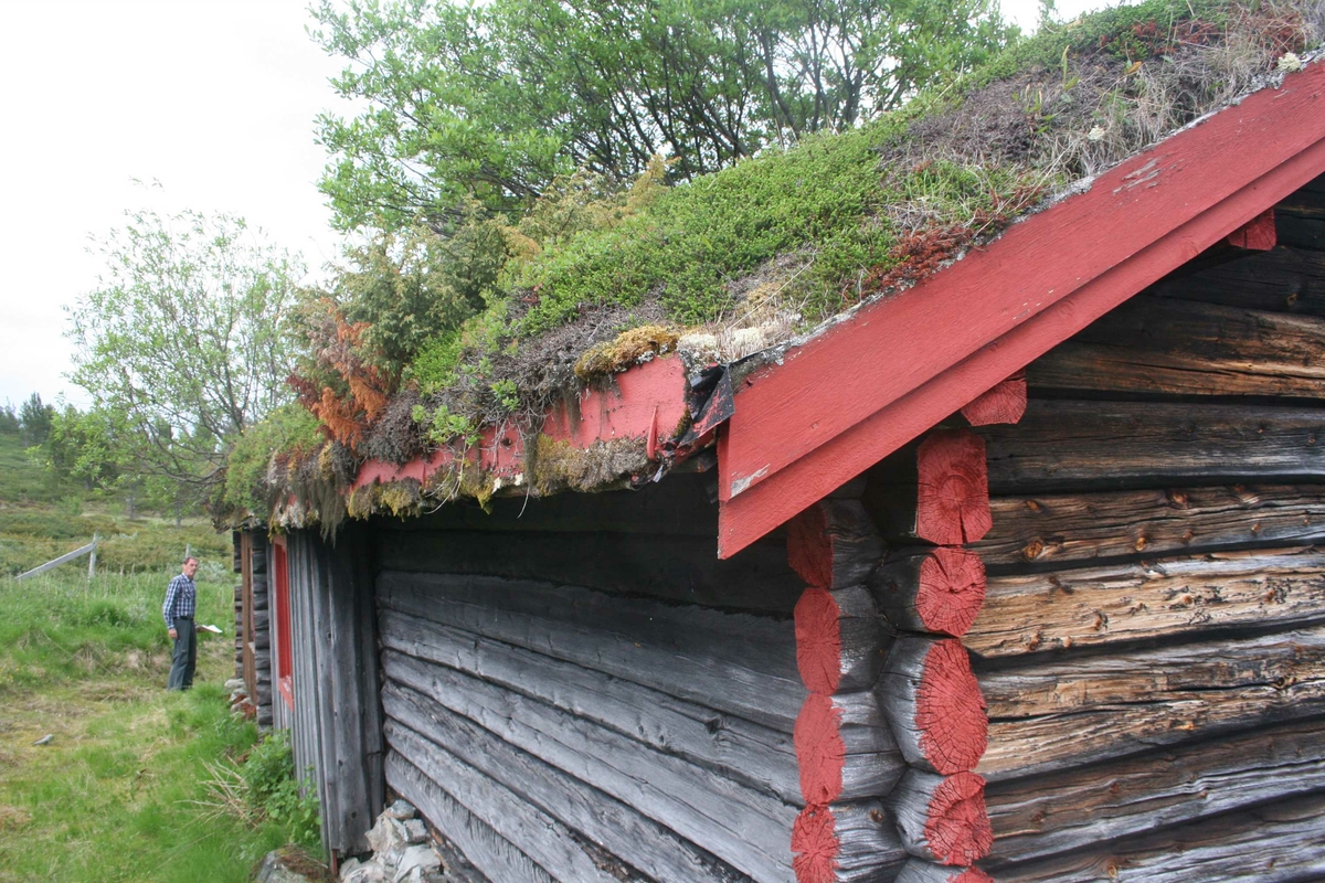 Seterstue, tak