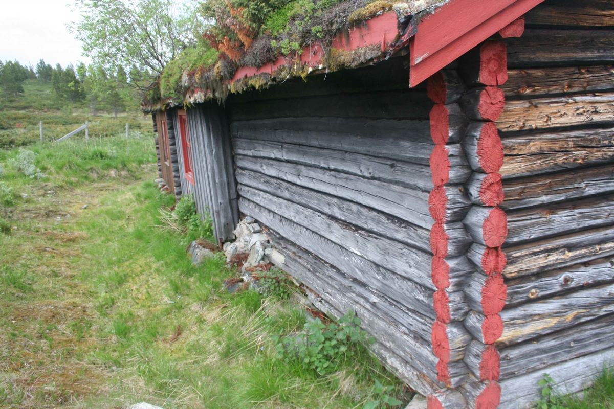 Seterstue, tak
