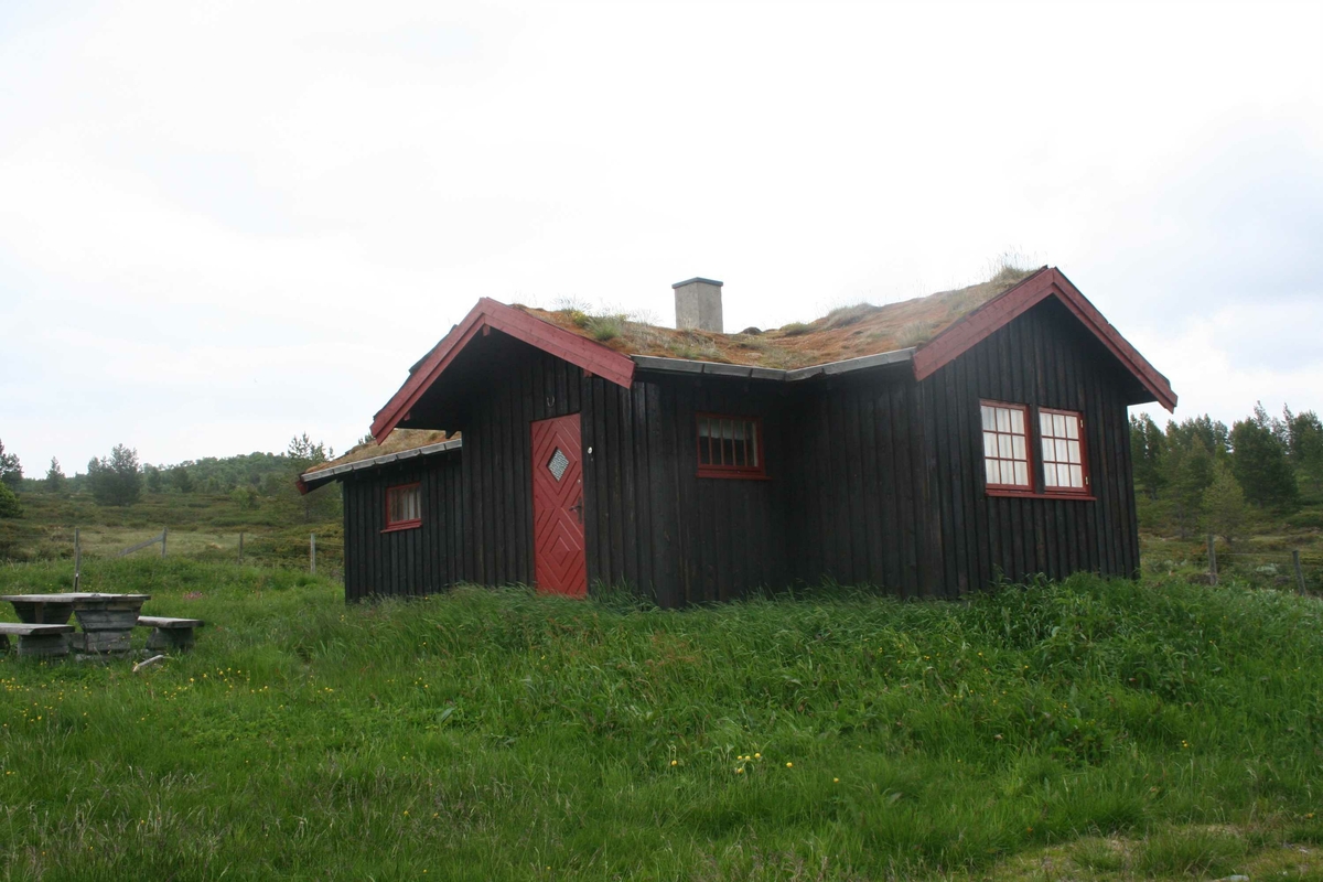 Seterstue, tak