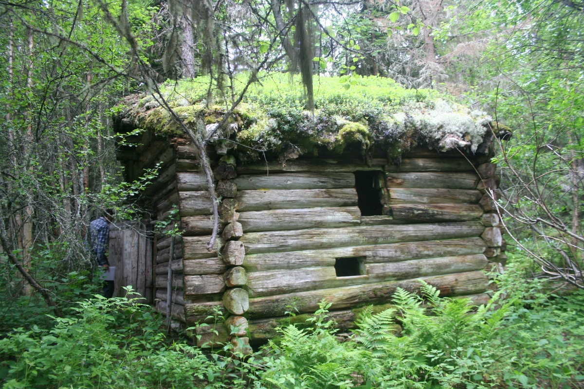 Sommerfjøs
