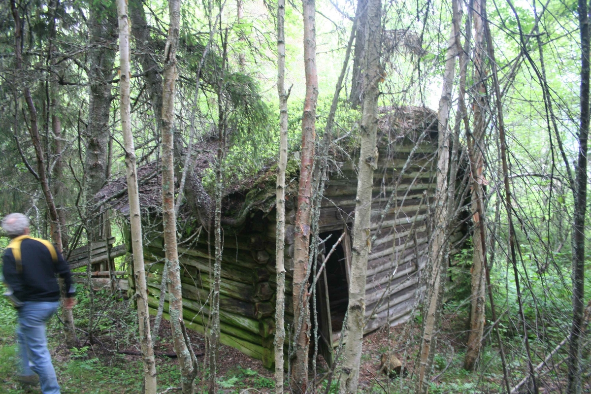 Sommerfjøs