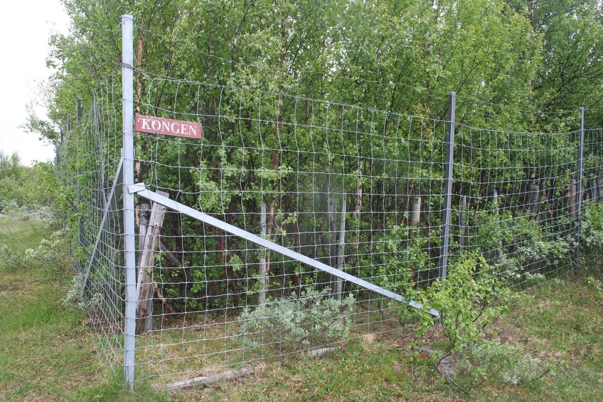 Gruvåsen, Dalsbygda