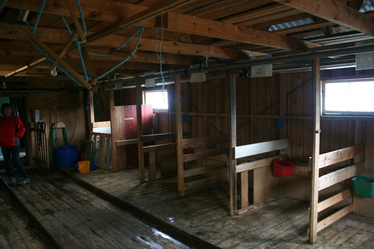 Smilbefaring Alvdal 2011. Fjøs