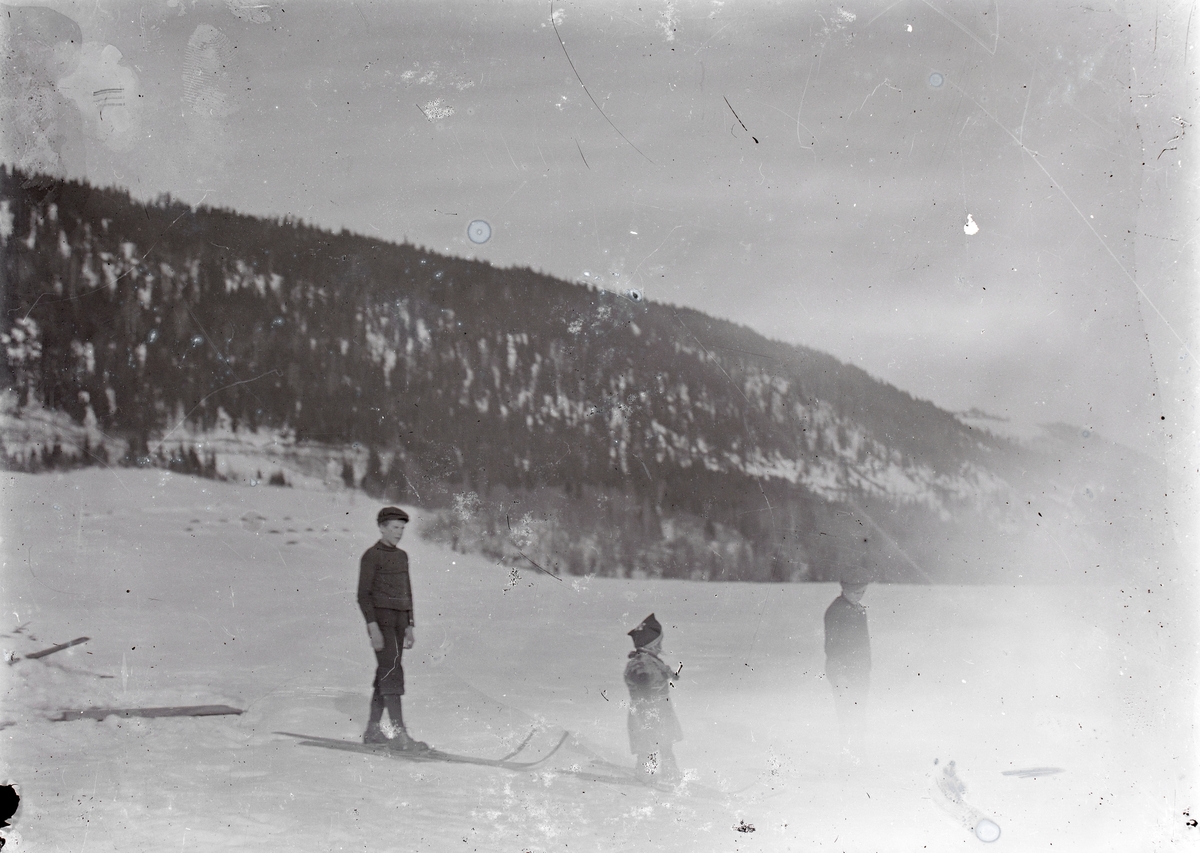 Motiv av tre barn på ski. Det minste barnet har tradisjonelle samiske klær.