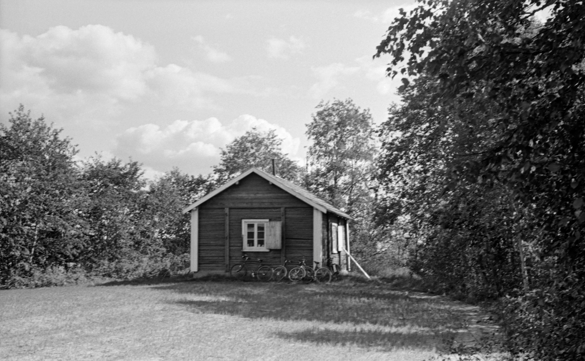 Tømmerkoie på Hølnabben i Sør-Odal i Hedmark. Hølnabben er en smal tange i sørenden av Seimsenga, med Vesleåa på vestsida og Seimsjøen på østsida. Fra dette området drenerer Oppstadåa, i hvert fall når vannstanden i Glomma ikke er for høy, vannet ut av Storsjøebassenget. Koia var sannsynligvis tilholdssted for tømmerfløtere. Det dreide seg om et laftehus med innkassete hjørnenov og med strekkfisker på veggene, vindu både i gavlen og på langveggen. Koia hadde saltak med et rør - et røykløp fra koieovnen - som stakk opp gjennom mønet. Da fotografiet ble tatt sto det fire sykler ved koieveggen.