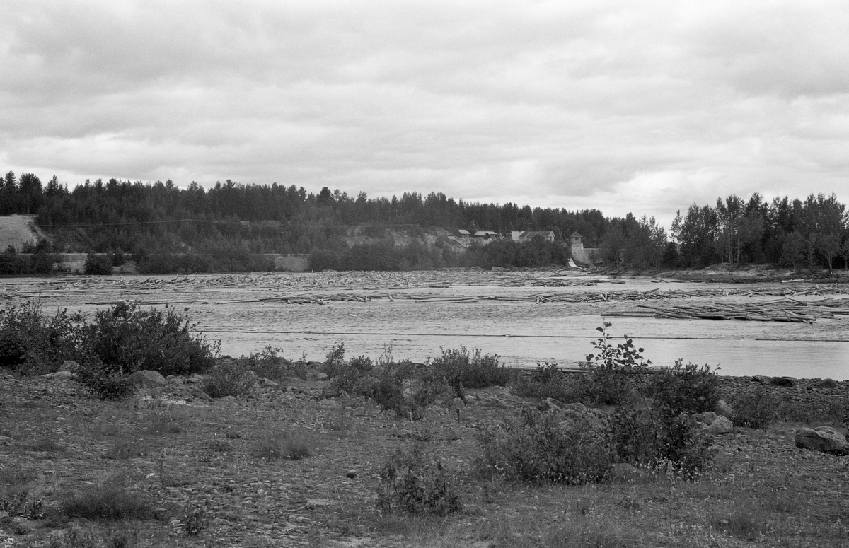 Landskapsbilde som er tatt ved Glommas østbredd like nedenfor Skjefstadfossen og Tjuvholmen i Heradsbygda i Elverum. Fotografiet ble tatt i 1959. Det viser hvordan løstømmer som kom drivende nedover elva kunne sette seg fast og vase seg ihop på grunne steinører. På dette stedet var det en liten dreining i elveløpet, og på slike steder hadde tømmeret en tendens til å legge seg mot strendene i yttersvingene. På vannspeilet kan vi se hvordan fløterne har forsøkt å forebygge dette ved å legge ei lense, en flytende kjede av tømmerstokker et stykke ute i elveløpet for å forebygge dette. Plasseringa av lensa ser ut til å ha vært vellykket. I bakgrunnen ser vi kraftverket ved Skjefstadfossen.