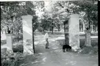 Tillberga sn, Västerås kn, Hedensberg.
Grind vid Hedensbergs gård, 1986.