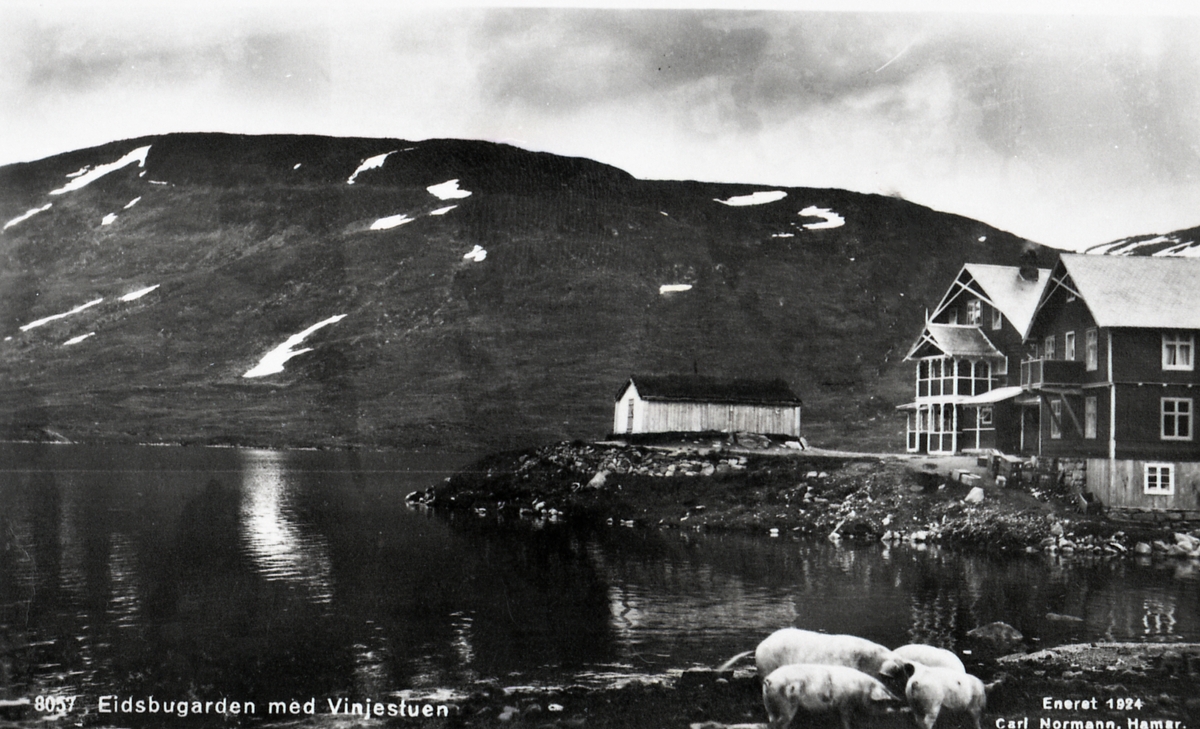 Postkort rå Eidsbugarden og Vinjestua i Vang.