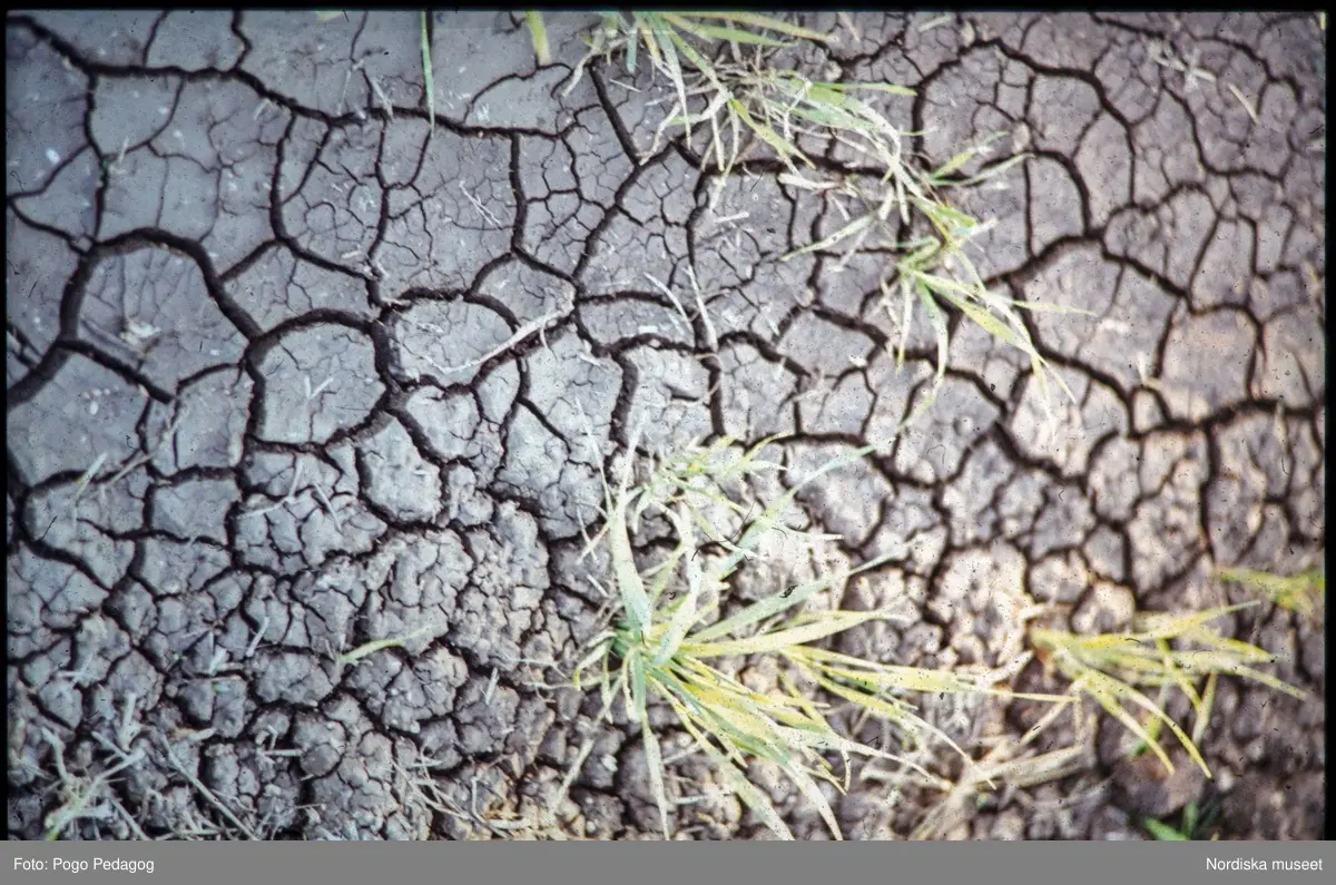 Torka och miljöförstöring