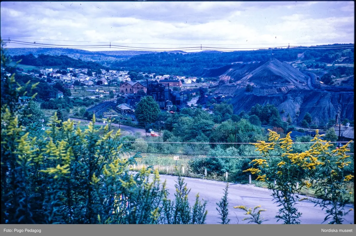 Torka och miljöförstöring