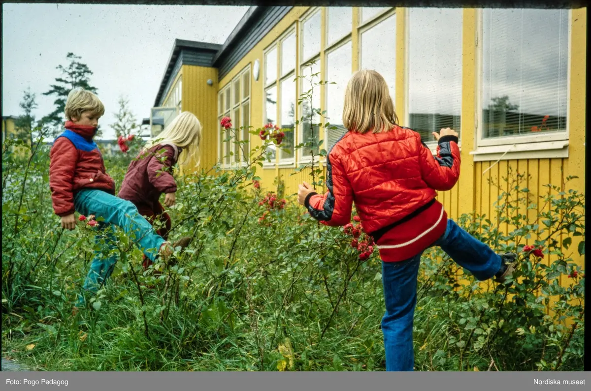 Torka och miljöförstöring