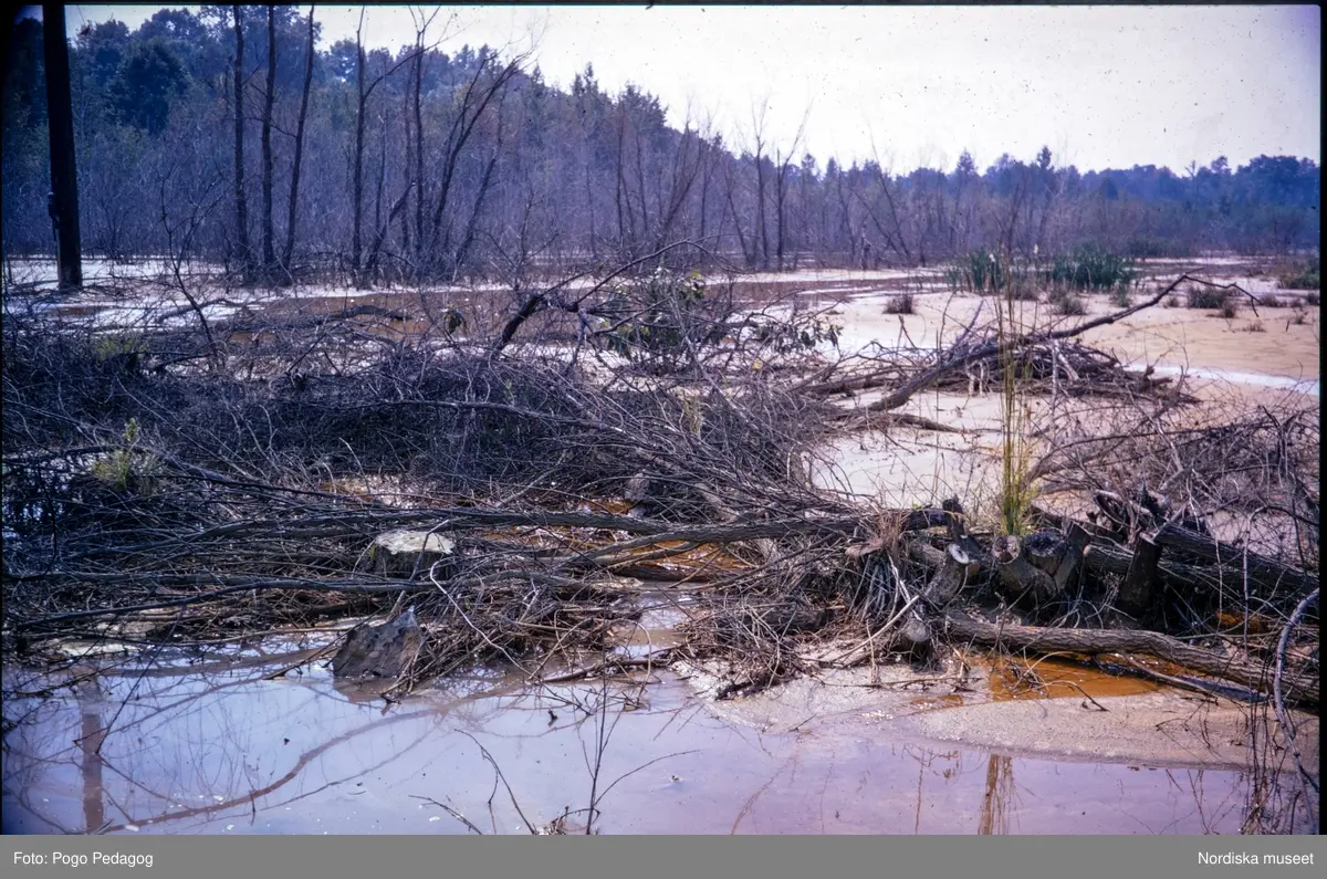 Torka och miljöförstöring