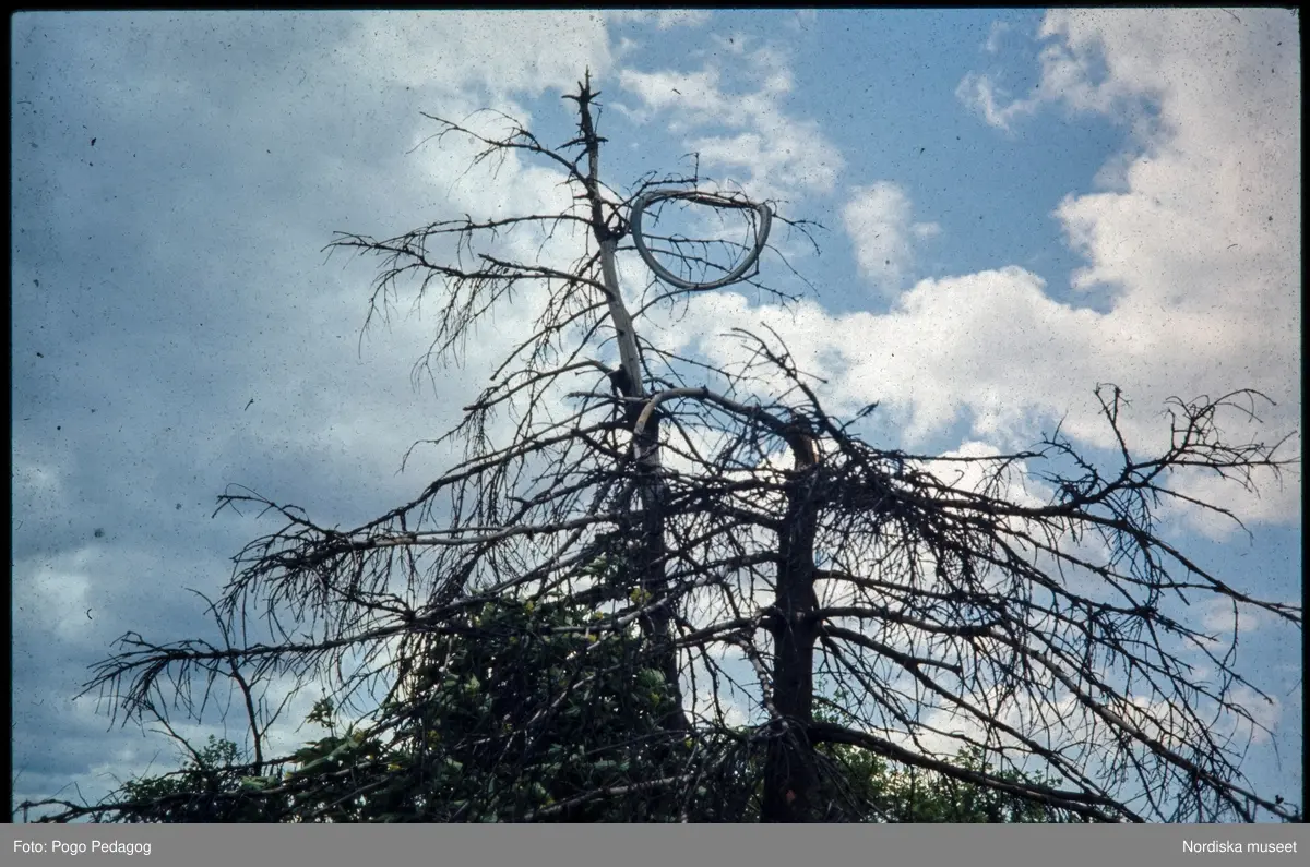 Torka och miljöförstöring