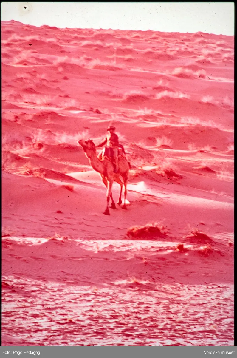 Torka och miljöförstöring