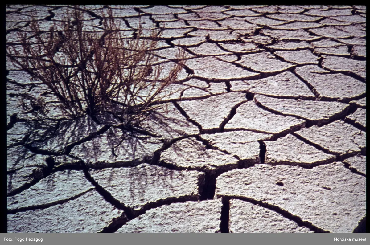 Torka och miljöförstöring