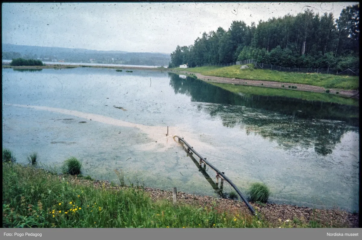 Vattenförorening och vattenkraft