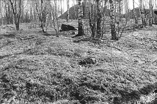 Gravfältet norr om Ströbohög i Köping.