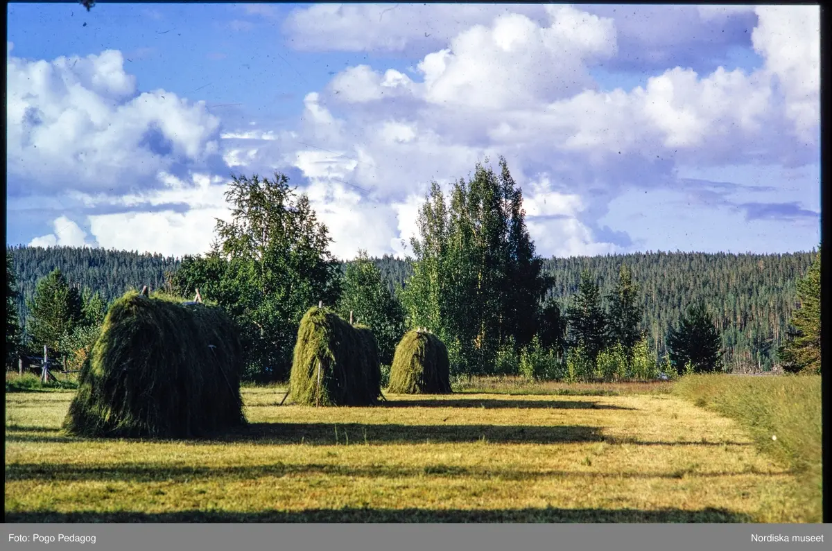 Lantbruk